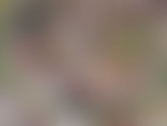 50 גוונים של ירוק: כבר לא אדישים למחיר האמיתי של האופנה הזולה