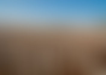 מה קורה לאורך שרשרת הייצור