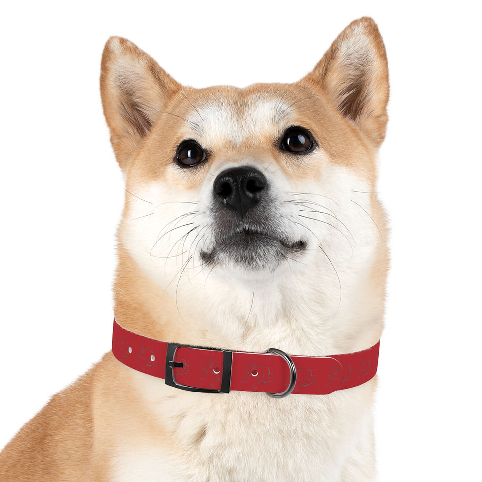 Thumbnail: Harlequin Pet / Simp Collar