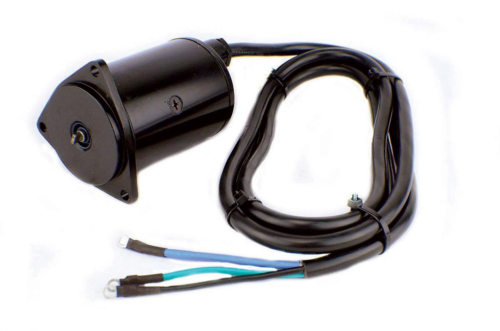 Miniature : EVINRUDE TRIM MOTOR