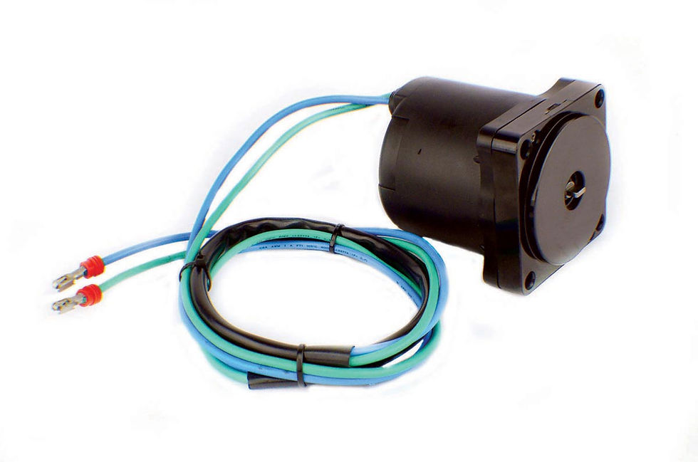 Miniature : EVINRUDE TRIM MOTOR