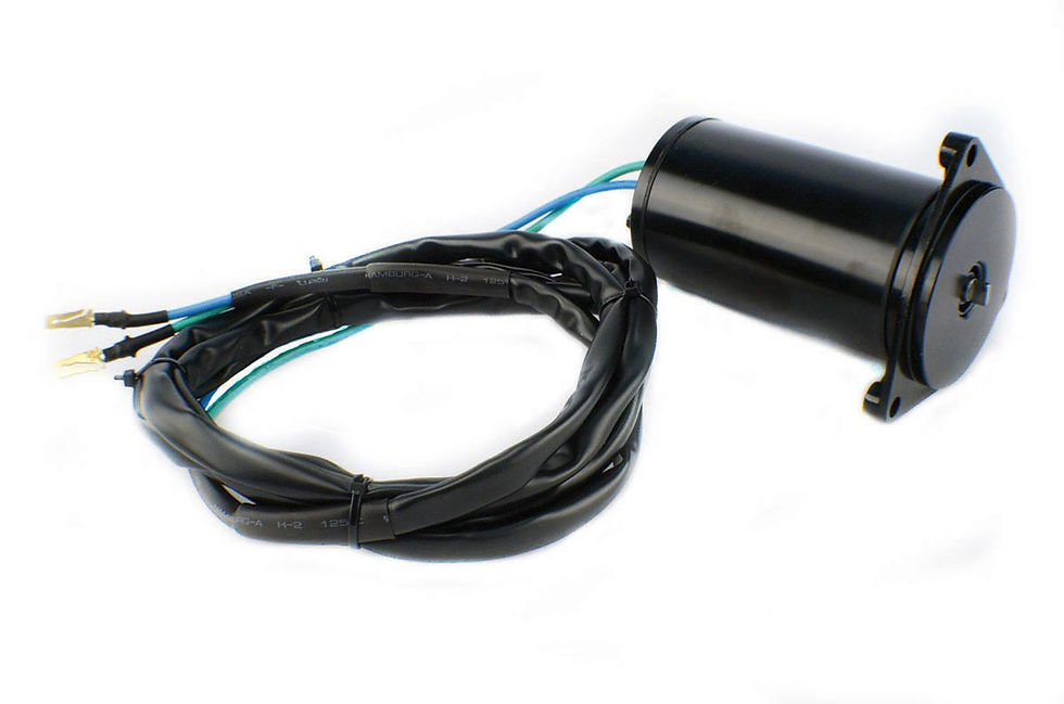 Miniature : EVINRUDE TRIM MOTOR