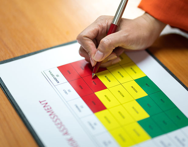 Image of an individual  assessment for Leadership Assessment Protocol  project