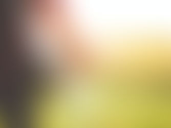 The danger of “Mission Drift”