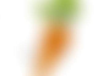 BEHAVIOR MODIFICATION