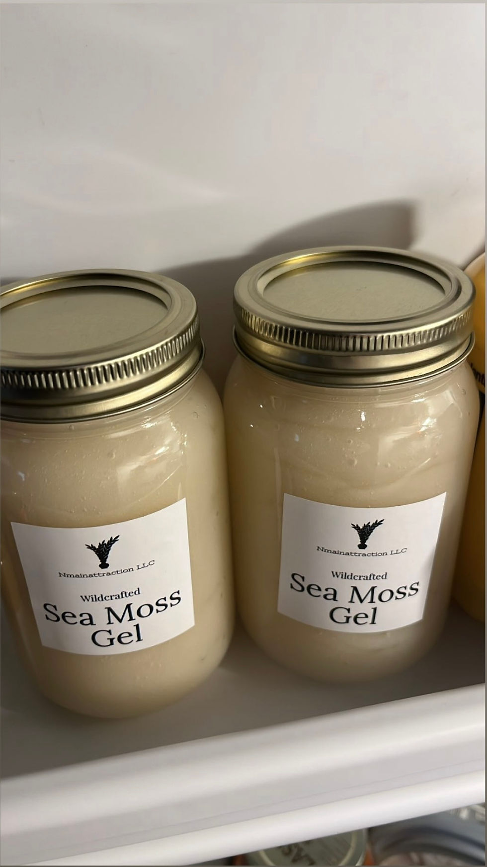 Thumbnail: 16oz Wildcrafted Sea Moss jar