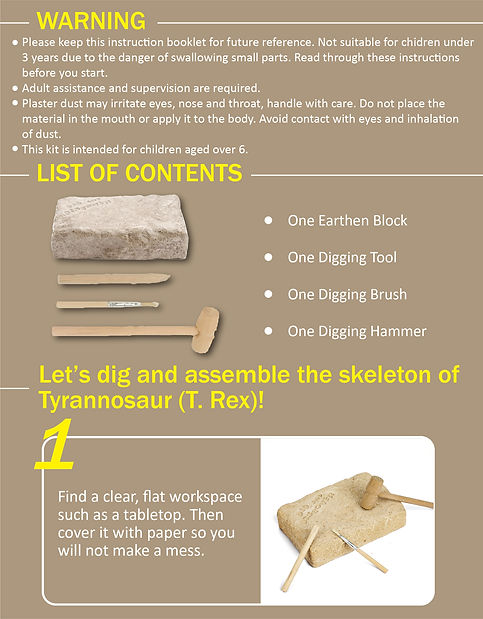 恐龙化石说明书_画板 1 副本.jpg