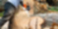 AdobeStock_393220737.jpeg