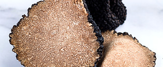 AdobeStock_441851097 (1)_edited.jpg