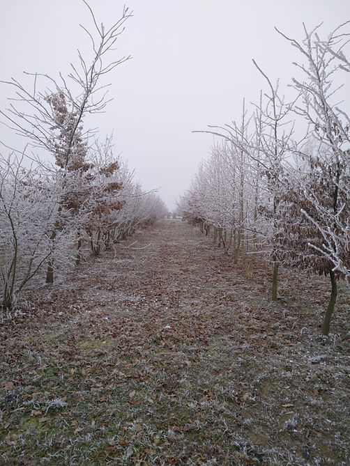 WhatsApp Image 2025-07-23 at 21.38.32 (1).jpeg