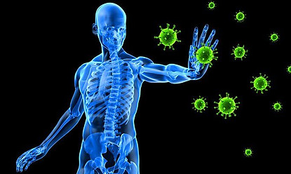 10-amazing-facts-about-your-immune-syste
