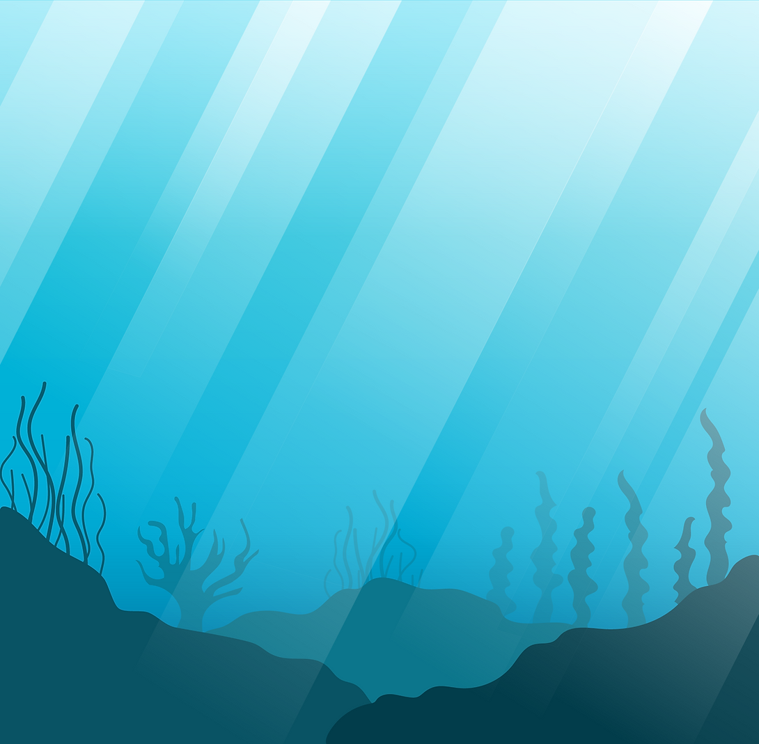 Background for Wix Portfo Web.png