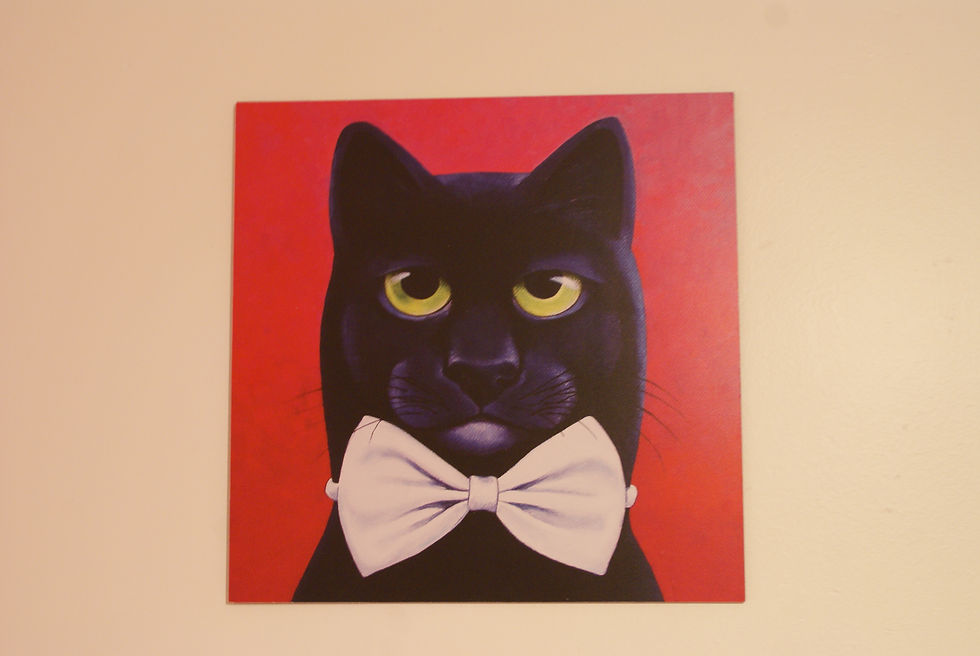 Chat alors !