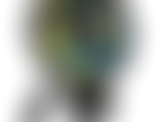 Day 105, Saturday, June 29, 2025: Greenville, Ohio to Cincinnati, Ohio