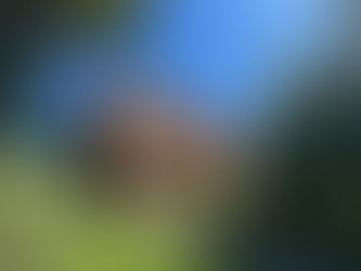 Day 129, Monday August 12, 2024: Narragansett, Rhode Island to Queens, New York