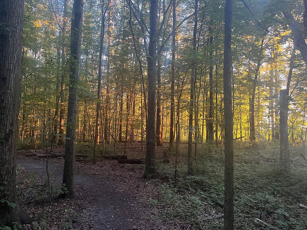 Heckert Nature Preserve