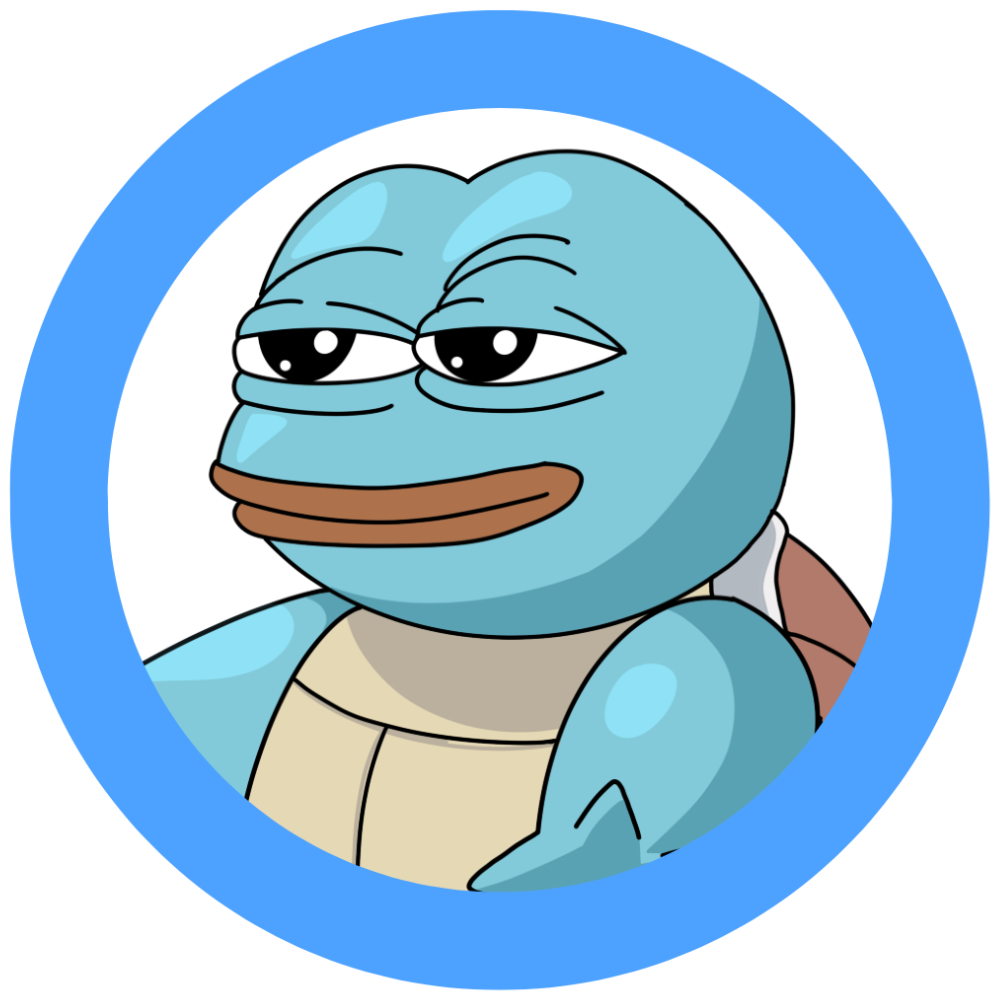Suirtle Logo 1000x1000.png