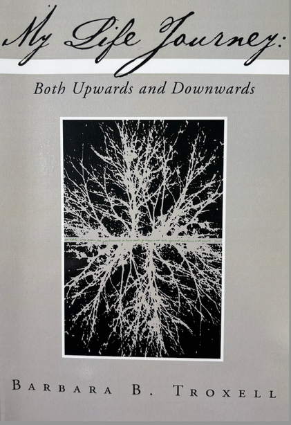 book cover.png