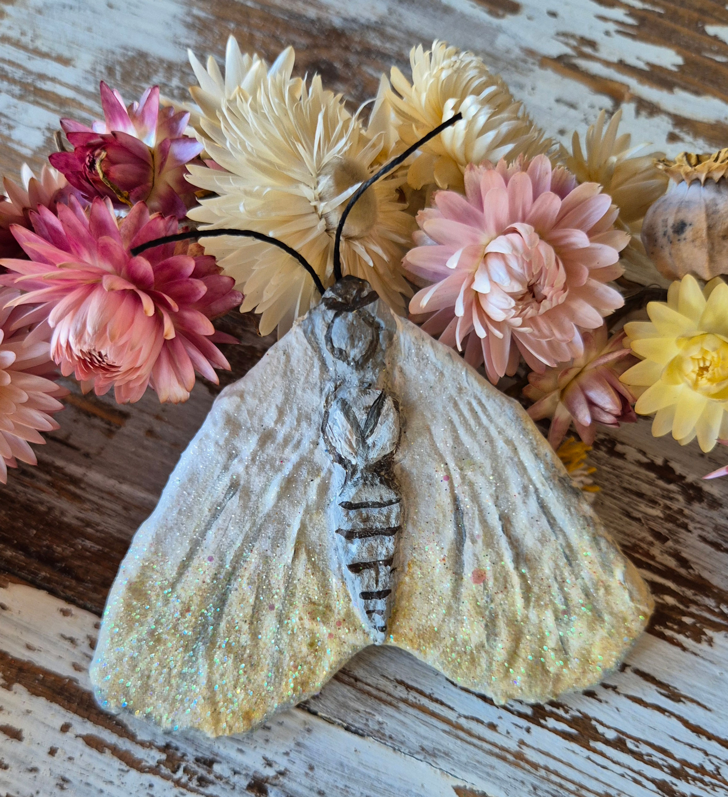 Moth Decoration