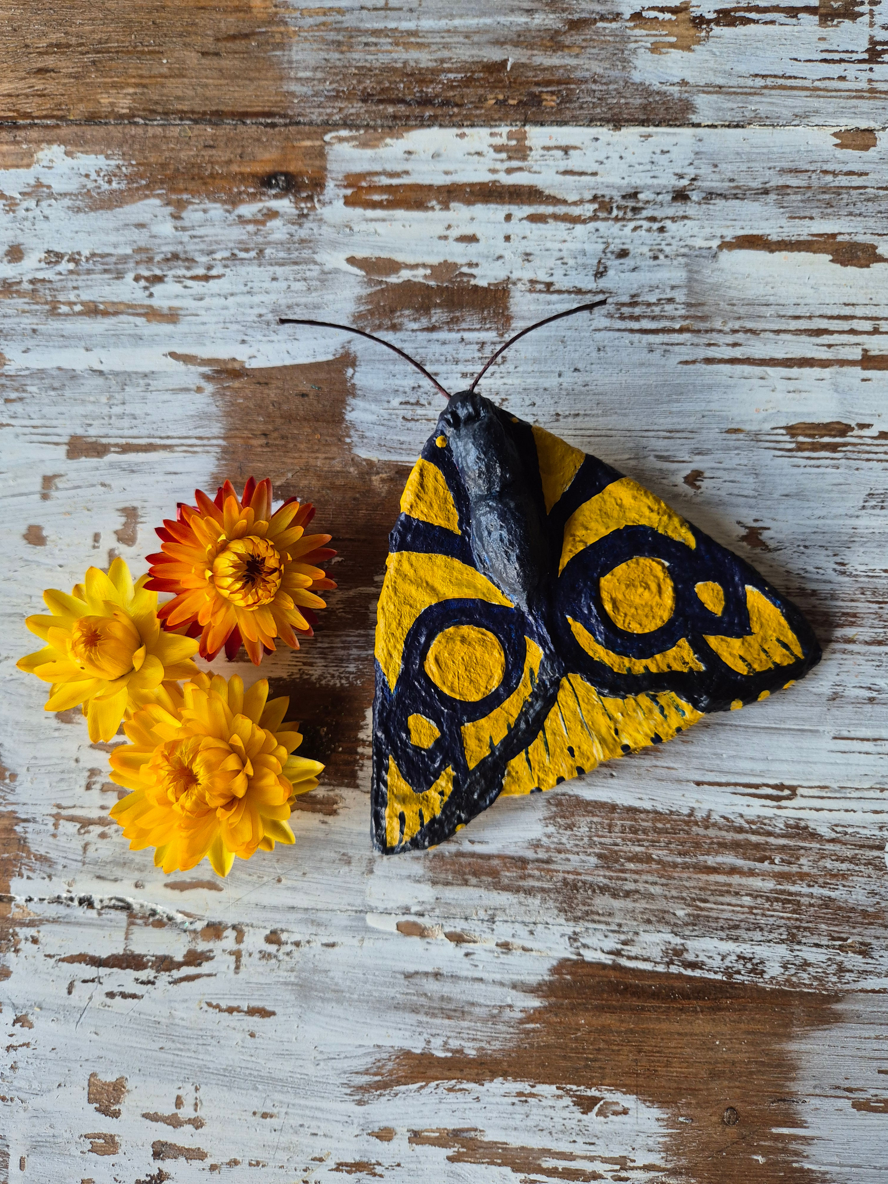 Moth Decoration
