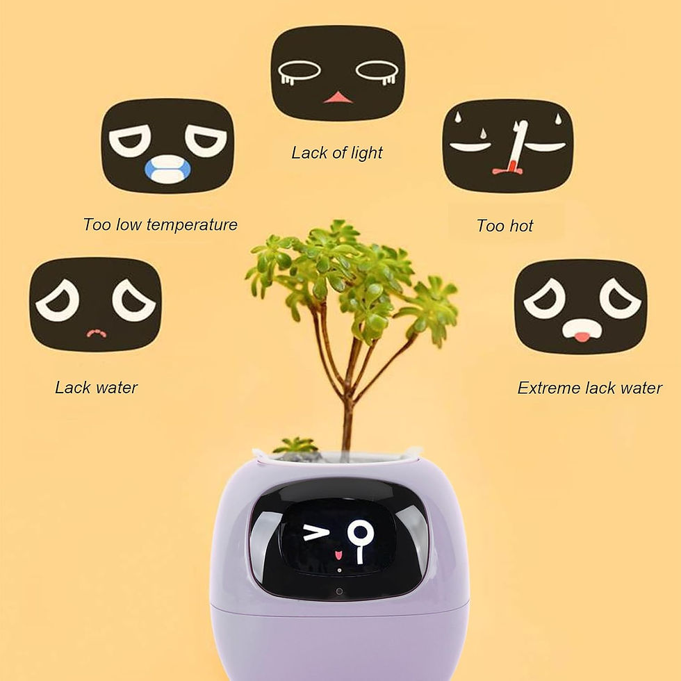 Thumbnail: BERRY IVY