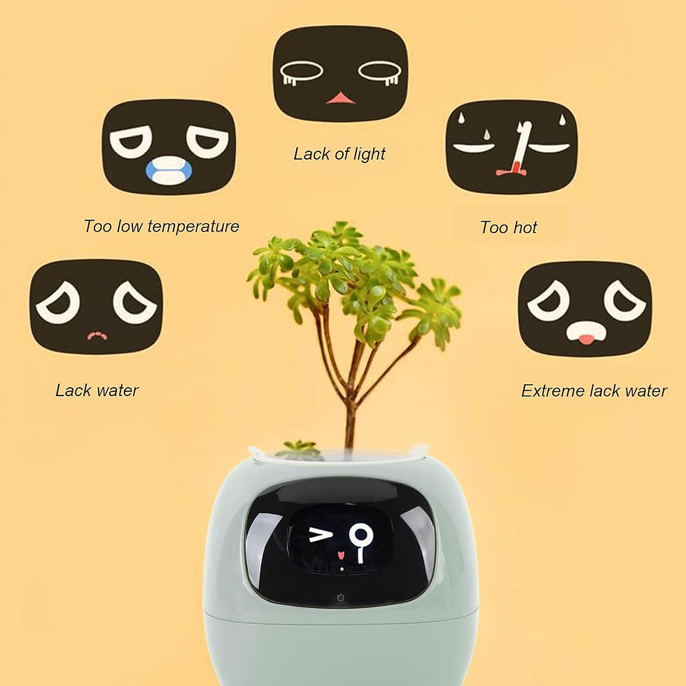 Thumbnail: WILD IVY