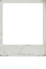 toppng.com-basic-polaro-blank-polaroid-frame-400x600.png