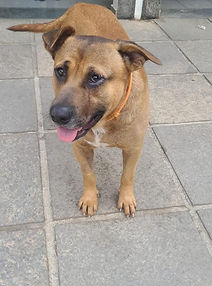 PHOTO-2025-12-17-18-41-46 2.jpg