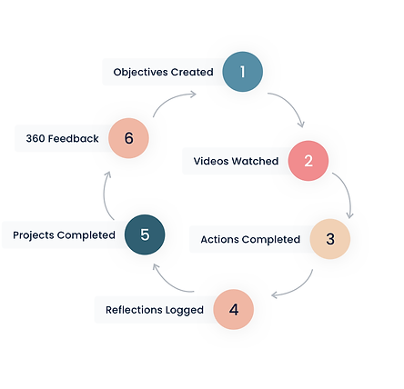 Development Sequence_circle (2).png