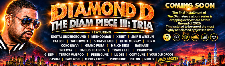 Neon Diamond D Hip-Hop Concert Banner_ed