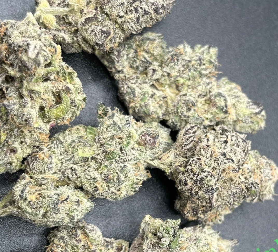 buddz.webp