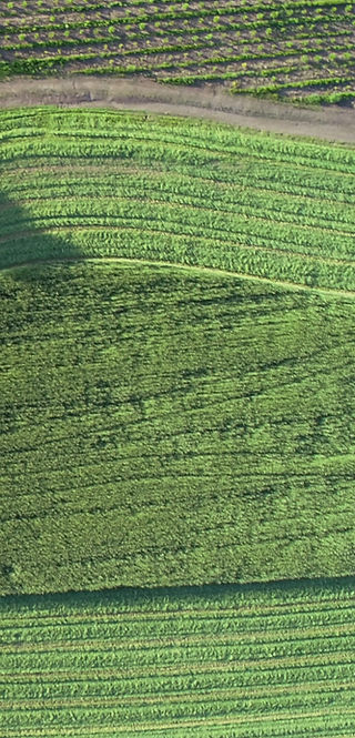 DJI_0472.jpg