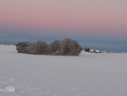 Les marais de Nex