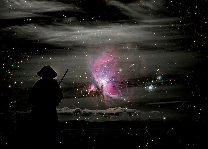 Anima Pellegrina_edited.jpg