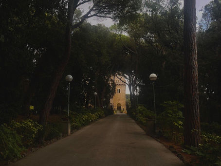 Teresa S: Goodbye Florence