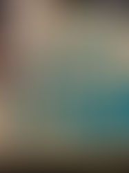 The Ship that Sailed to Mars