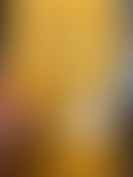 Raise High the Roof Beam, Carpenters