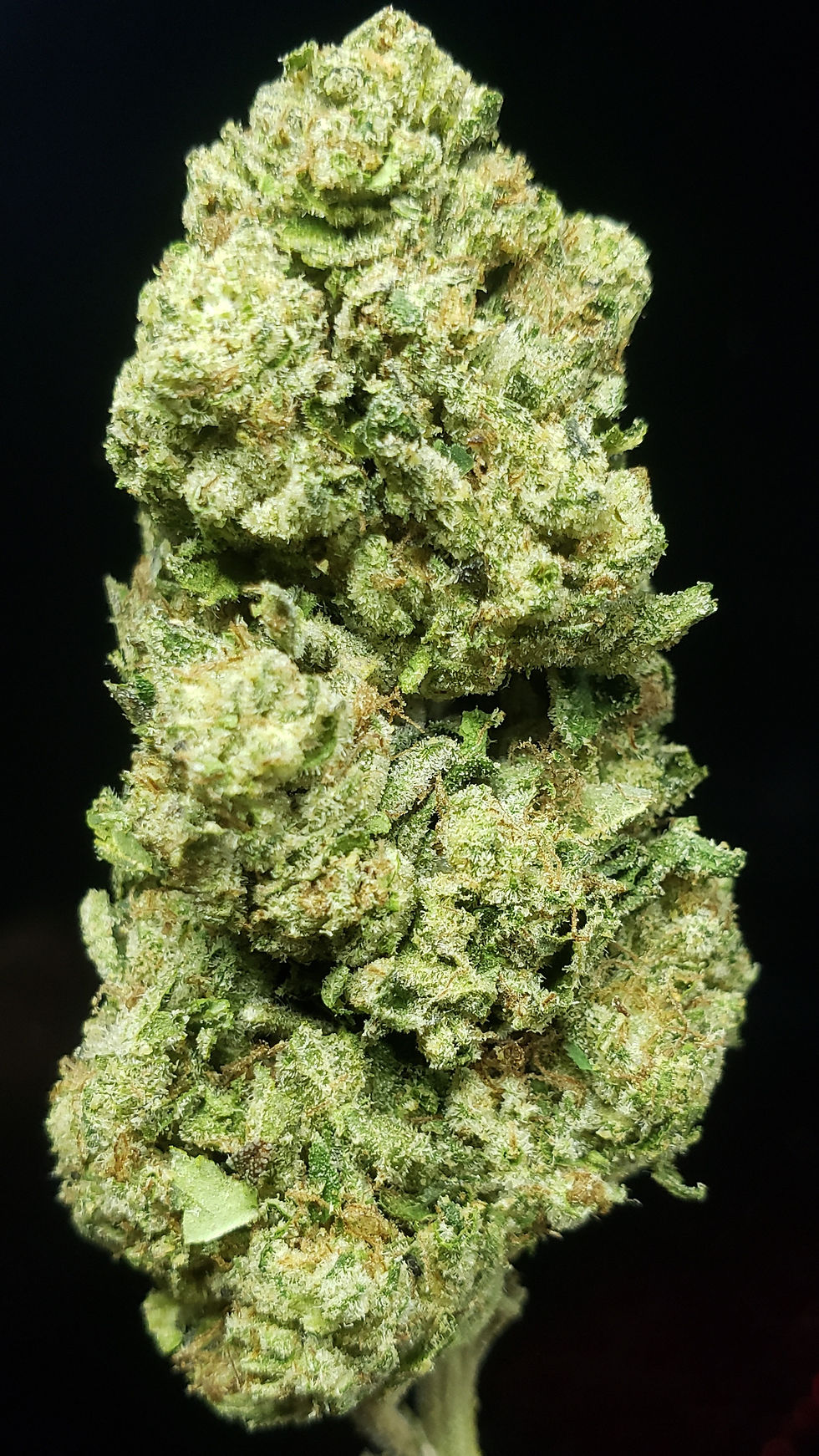 Jetful Gelato - THCa Hemp Flower