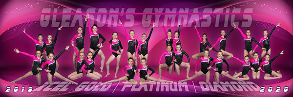 xcel-gold-platinum.jpg