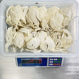 PD2119