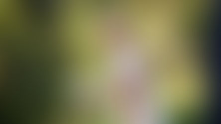 Margaux et Benjamin, 23 septembre 2017