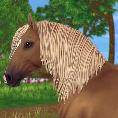 horse-4100412_1280.png