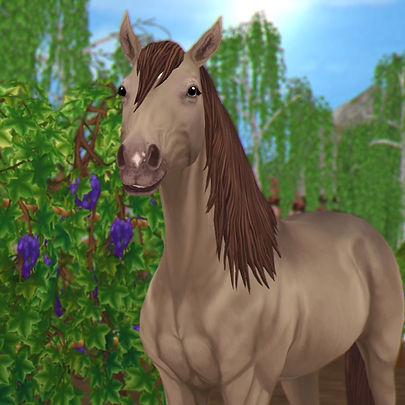 horse-4100412_1280.png