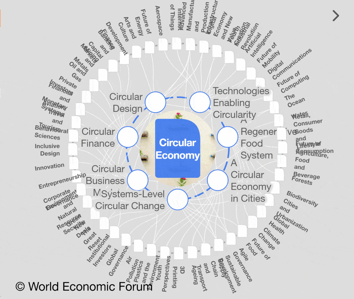 animated-wef-wheel.gif