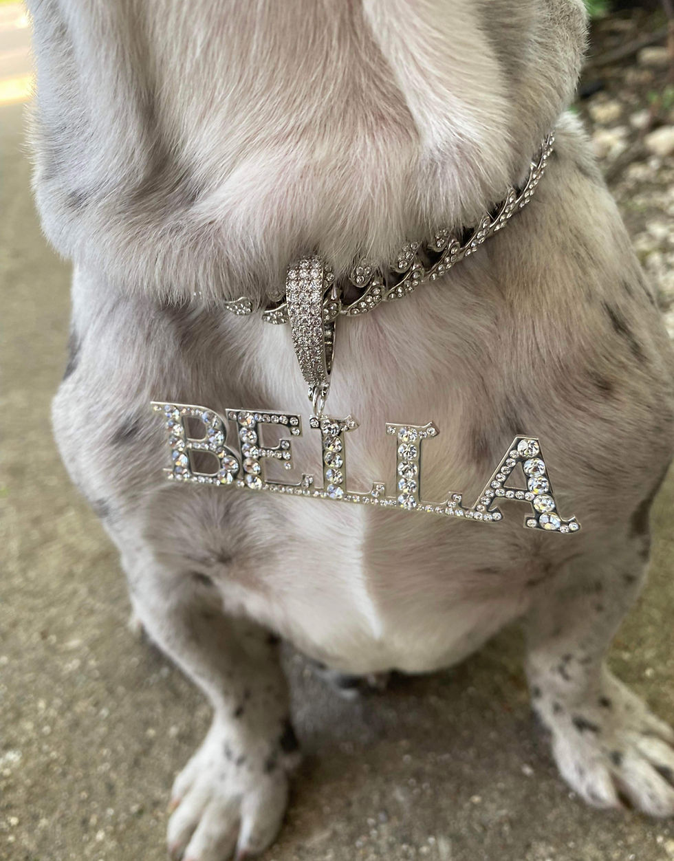 Thumbnail: FROZEN CUSTOM DOG CUBAN CHAIN