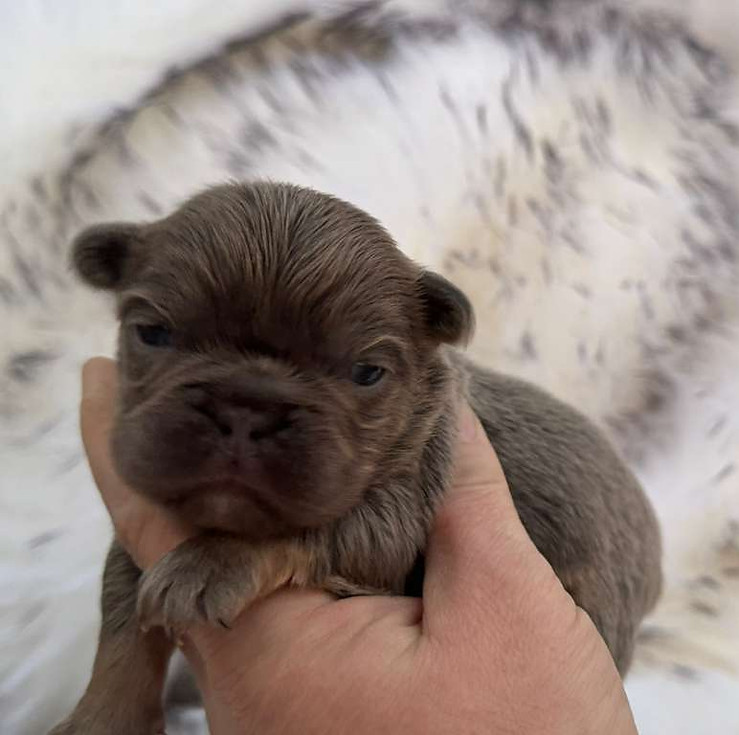 WhatsApp Image 2025-11-08 at 23.42.10_42fec6a5.jpg