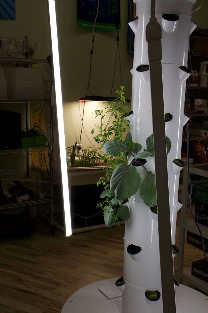 WhatsApp Image 2026-01-15 at 19.35.18 (1).jpeg