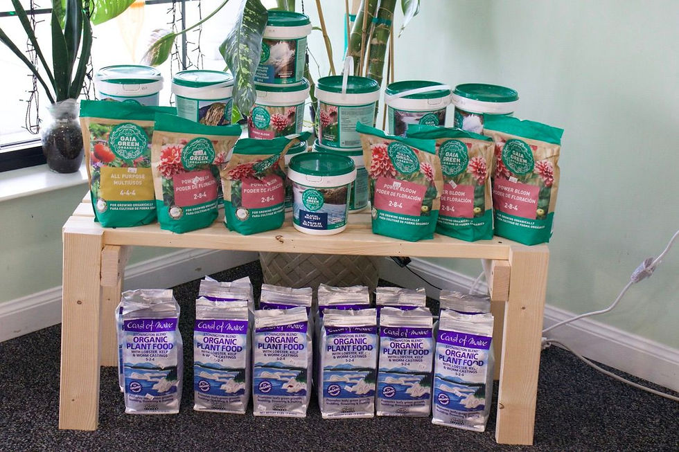 WhatsApp Image 2026-01-15 at 19.35.22 (5).jpeg