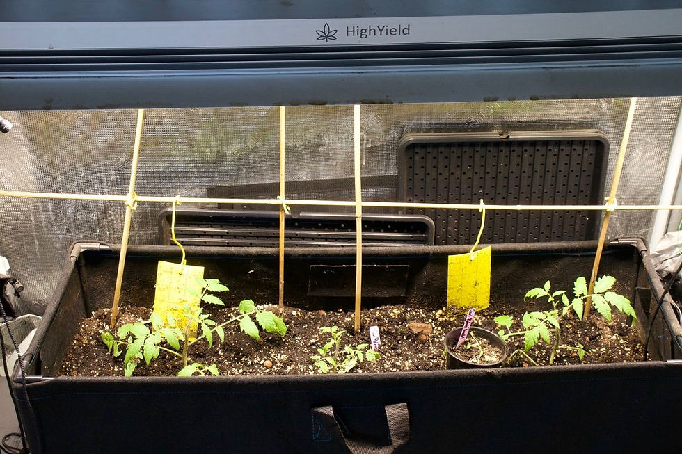 WhatsApp Image 2026-01-15 at 19.35.22.jpeg