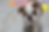 step 2 eb.png